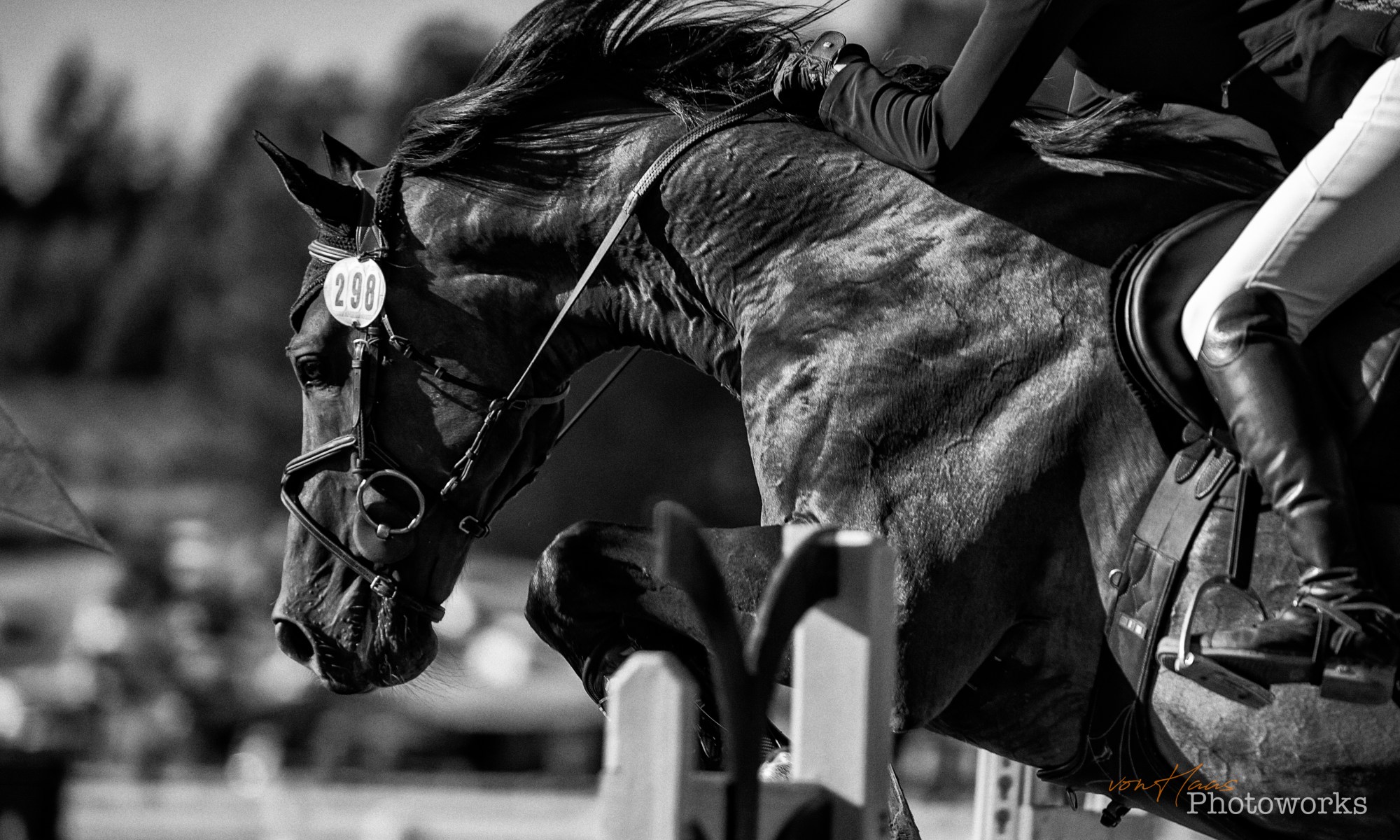 John von Haas Horse Training SpringPferd Training Stables in Oregon and Washington